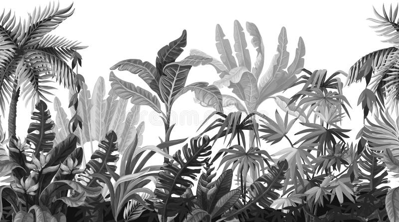 Seamless border with jungle trees in monochrome style. vector illustration