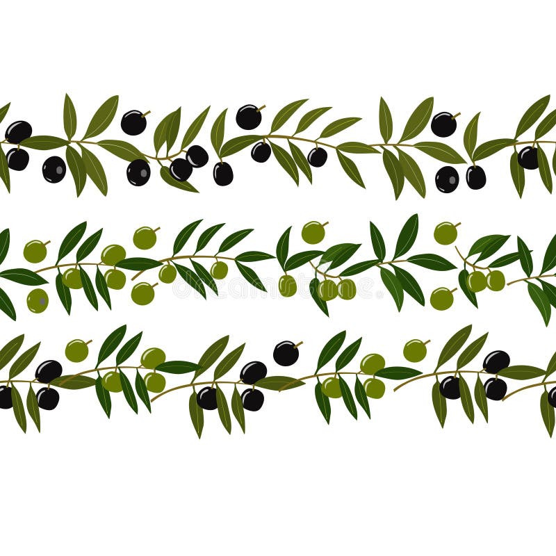 Seamless Border from Olive Branches Stock Vector Illustration of leaf