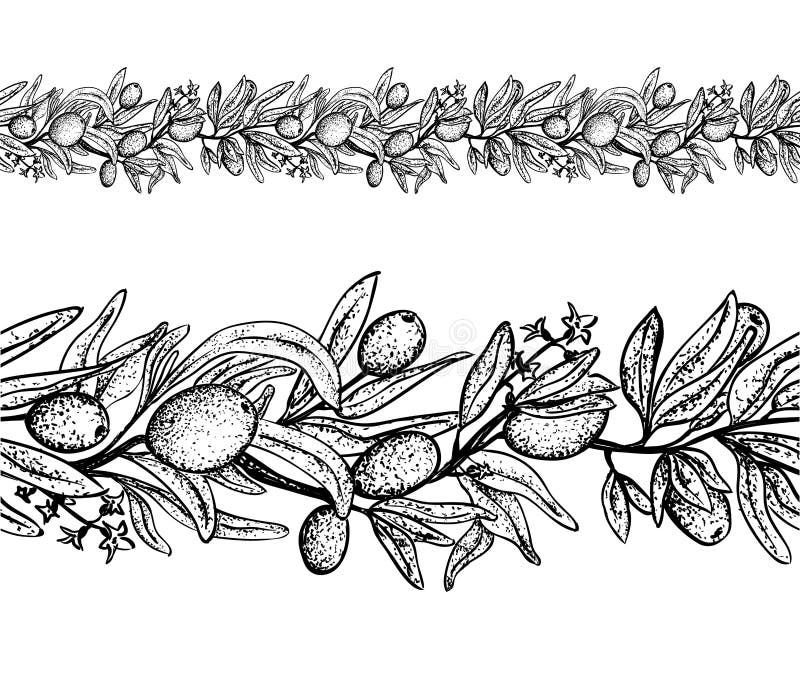 Olive Branch Seamless Border Stock Vector Illustration of decorative
