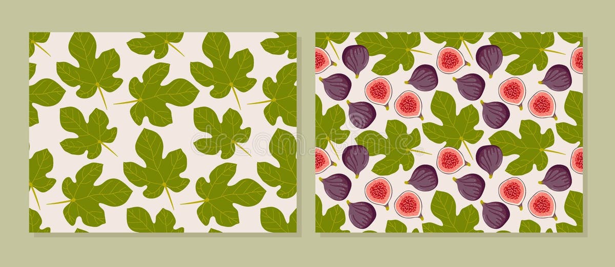 Fig Leaf Patterns Stock Illustrations 83 Fig Leaf Patterns Stock