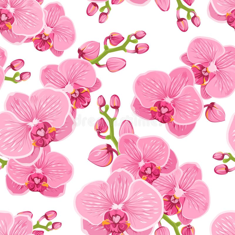 Seamless floral pattern with bright pink purple orchid phalaenopsis flowers on white background.