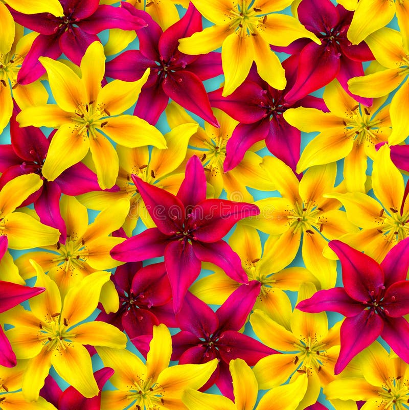 Seamless floral pattern. Chaotic arrangement of flowers. Red and yellow lily flower on a bright blue background