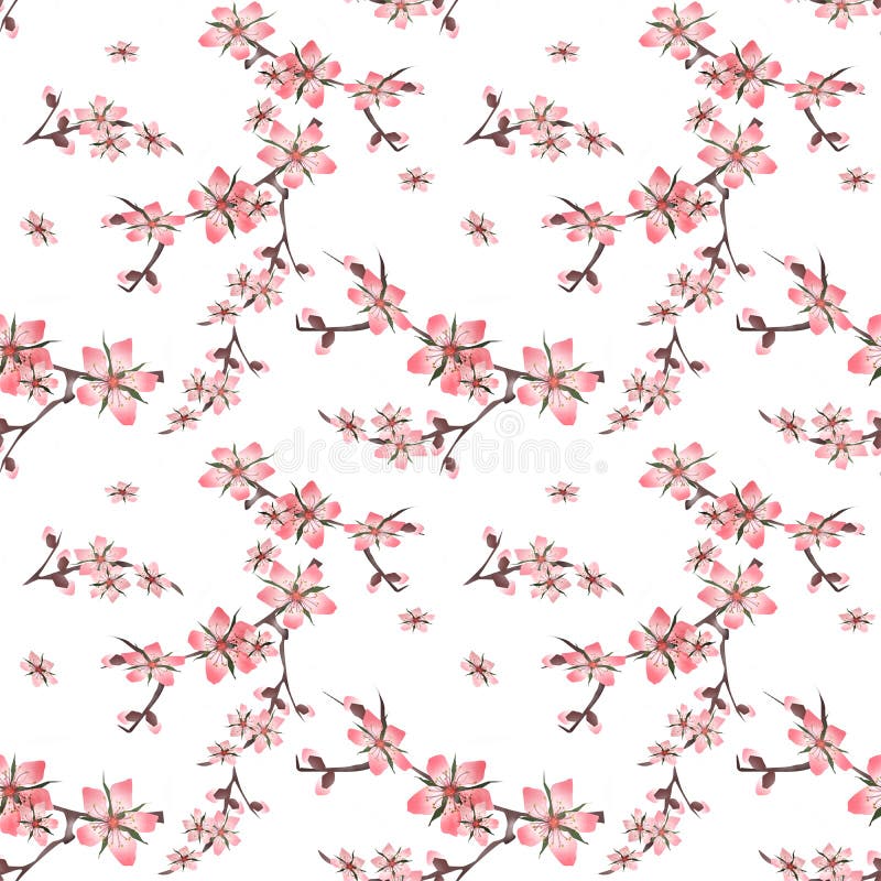 Seamless floral pattern with cherry blossom texture on white vector illustration