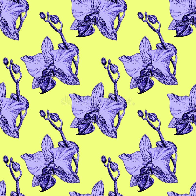 Seamless floral pattern with hand drawn orchids on yellow background stock illustration Seamless floral pattern with hand drawn orchids on yellow background stock illustration
