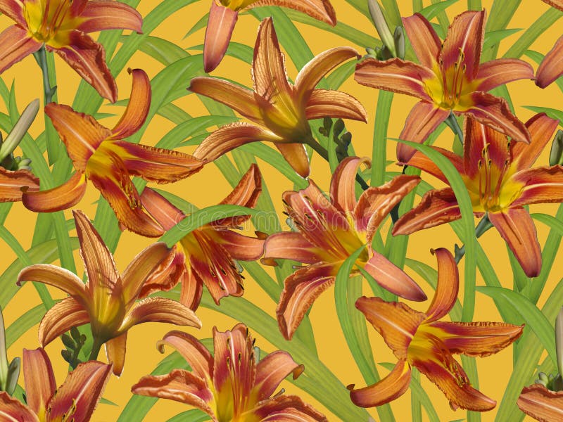 Seamless Floral Pattern with Orange Lilies. Stock Image Image of