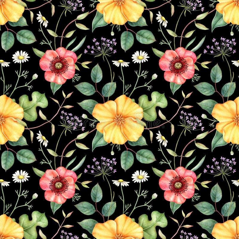 Seamless floral pattern with wildflowers on black background. Hand drawn watercolor illustration. stock illustration Seamless floral pattern with wildflowers on black background. Hand drawn watercolor illustration. stock illustration