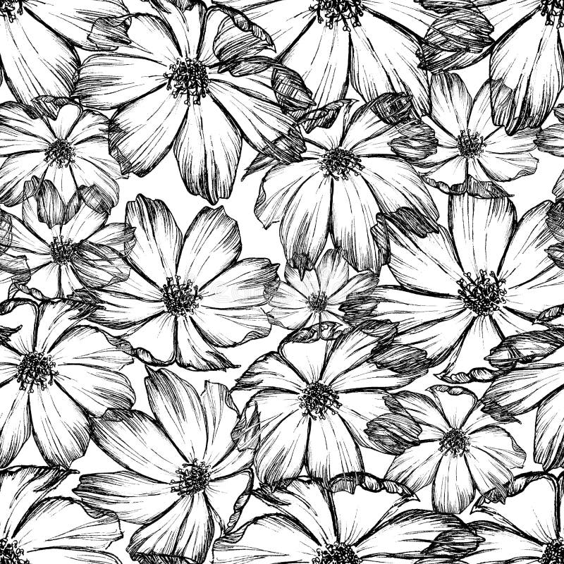 Seamless Flower Pattern with Hand Drawn Cosmos Flower, Can Be Used for ...