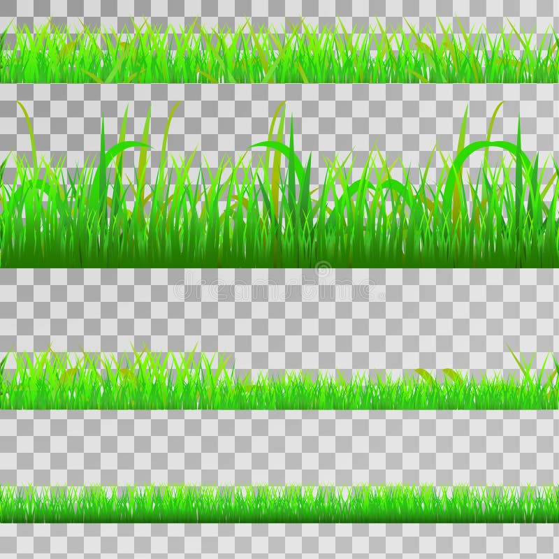 Strip Grass Stock Illustrations 1,421 Strip Grass Stock Illustrations