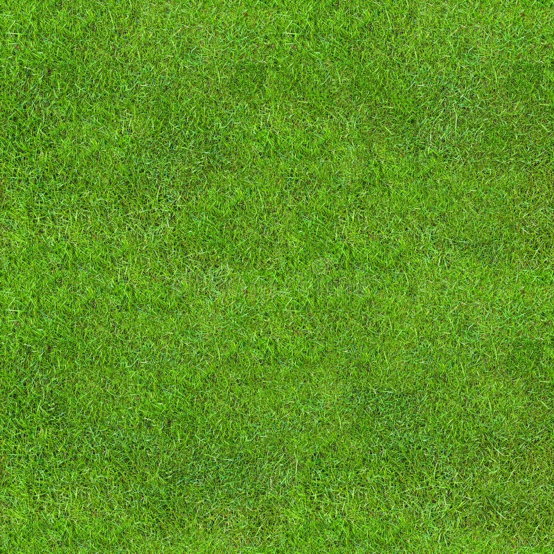 Grass Texture Seamless Hd