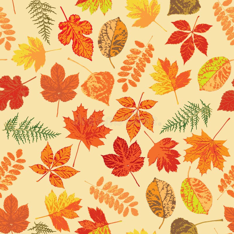 Seamless Pattern with Hand Drawn Autumn Leaves. Stock Image - Image of ...