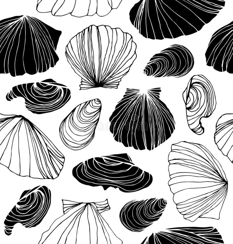 Seamless marine pattern with shells. Black and white graphic background with seashells. vector illustration Seamless marine pattern with shells. Black and white graphic background with seashells. vector illustration