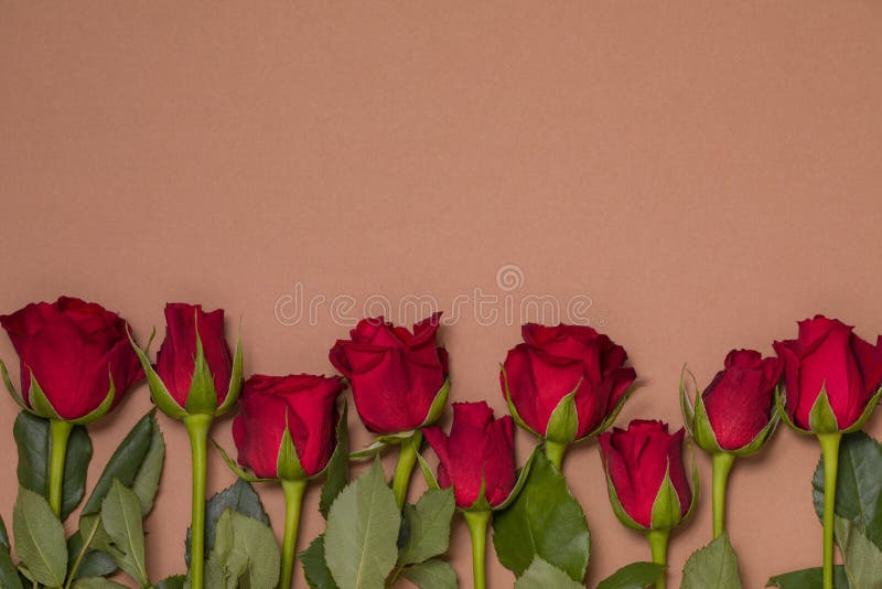 Rose nudes red red rose