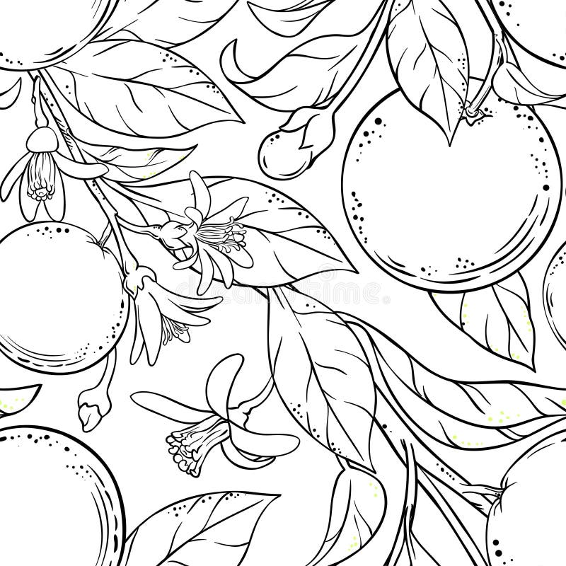 seamless orange modell royaltyfri illustrationer seamless orange modell royaltyfri illustrationer