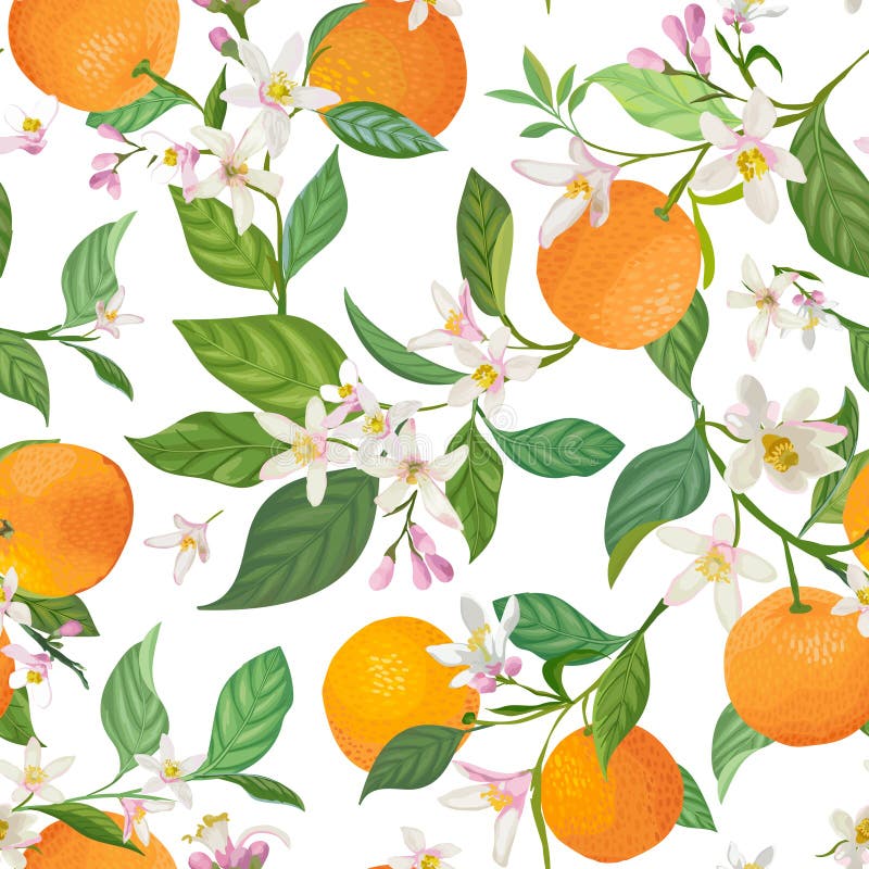 Seamless Orange pattern with tropic fruits, leaves, daisy flowers background. Hand drawn illustration in watercolor style summer royalty free illustration