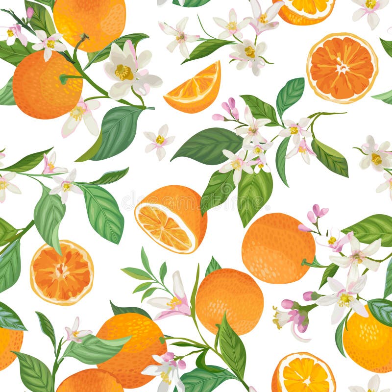 Seamless Orange pattern with tropic fruits, leaves, daisy flowers background. Hand drawn illustration in watercolor style summer royalty free illustration