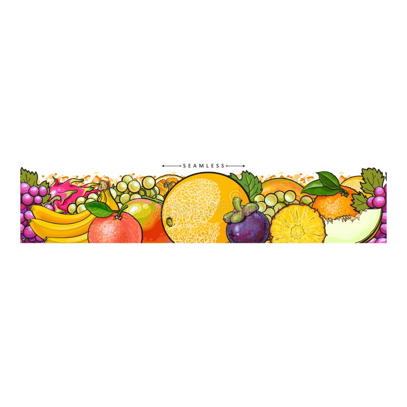 Seamless panoramic pattern with tropical fruits sketch vector illustration isolated.