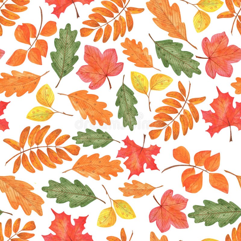 Seamless Pattern of Autumn Leaves 2 Stock Illustration - Illustration ...