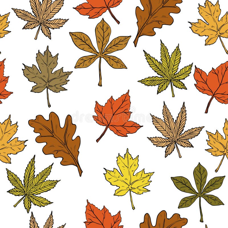 Seamless pattern with autumn leaves on white background. royalty free illustration Seamless pattern with autumn leaves on white background. royalty free illustration