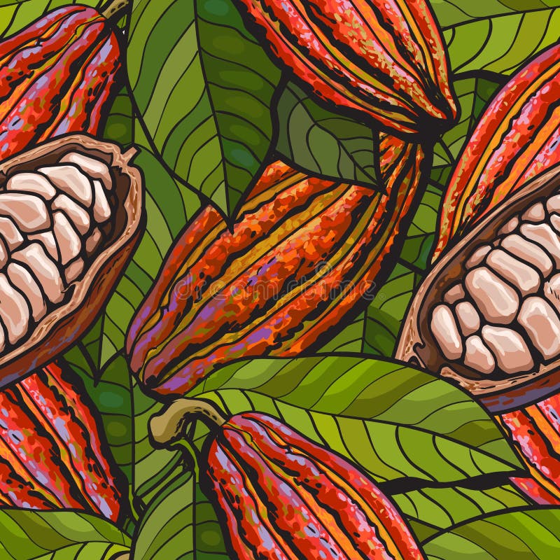 Cocoa Beans Seamless Illustration Vector Stock Illustrations – 613 ...