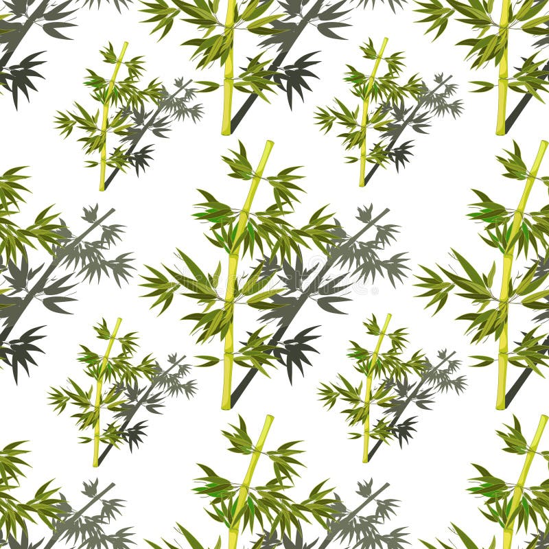 Seamless Pattern Bamboo Tree Tropical China Japan. Vector Illustration