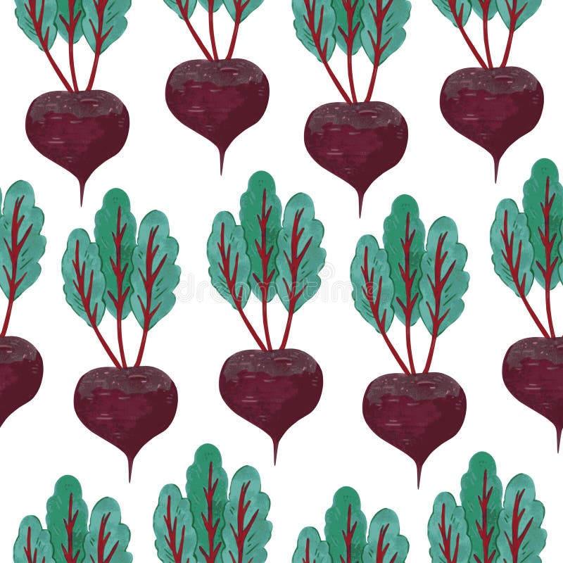Seamless Pattern with Beet Vegetables. Vector Hand Drawn Detailed