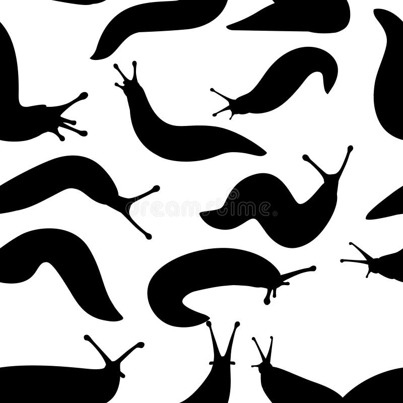 Slug Silhouette Isolated On White Background. Stock Vector