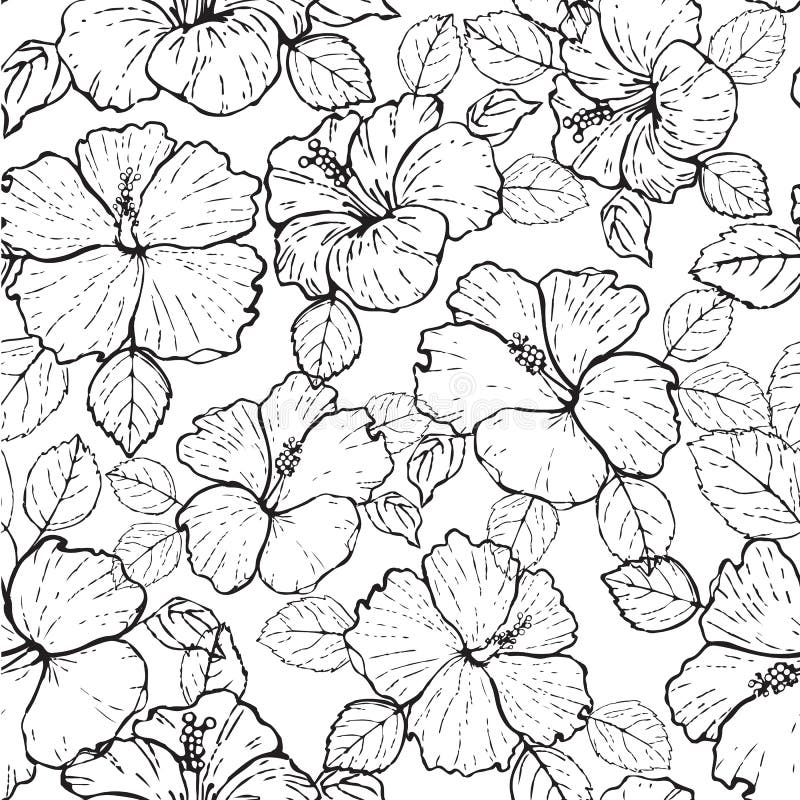 Seamless Pattern Black and White Hibiscus Flowers Stock Vector ...