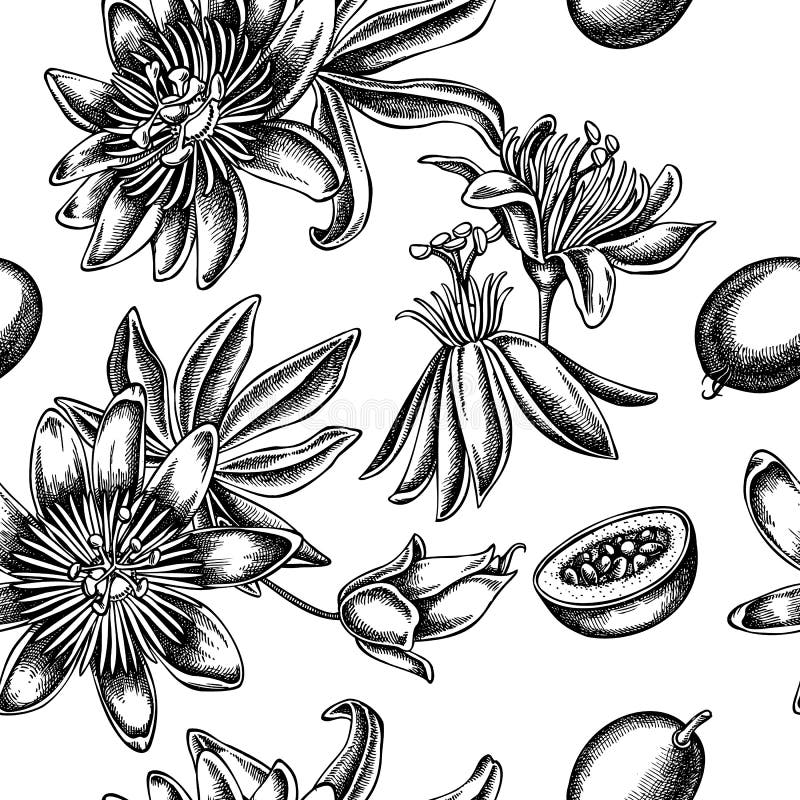 Passion Flower Banner Freeuse  Passion Flower Tattoo Designs HD Png  Download  Transparent Png Image  PNGitem