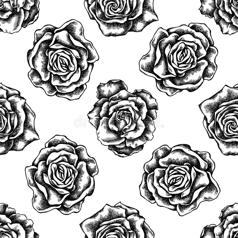 Seamless Pattern with Black and White Roses Stock Vector Illustration