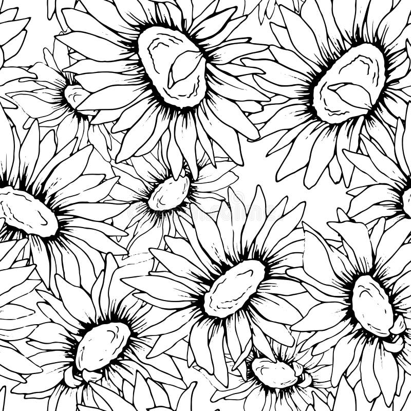 Black And White Sunflower Wallpaper