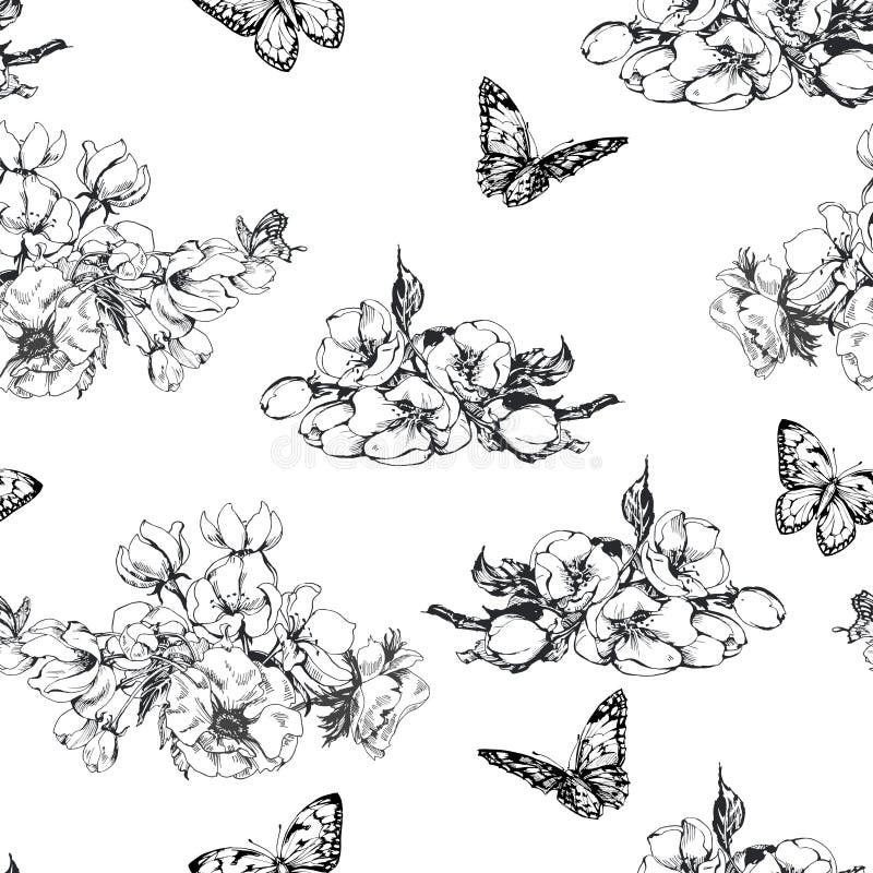 Seamless pattern with blooming Apple blossoms and butterflies on a white background. Vector. Hand-drawn style. stock illustration