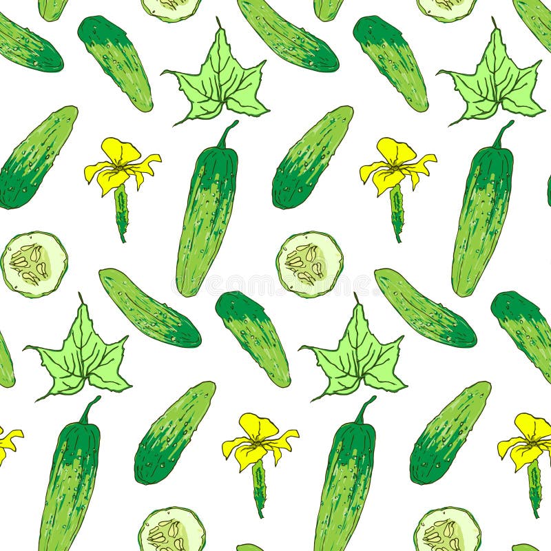 Seamless pattern of bright cucumber whole and chunks vector illustration