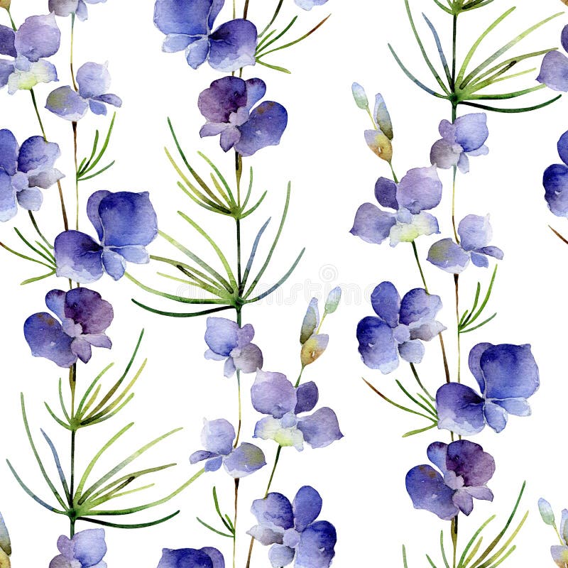 Seamless Pattern with Delphinium Flower on White Background Stock  Illustration - Illustration of spring, macro: 158592393
