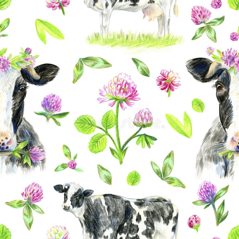 Cows and Clover Flowers Seamless Pattern Stock Vector Illustration of