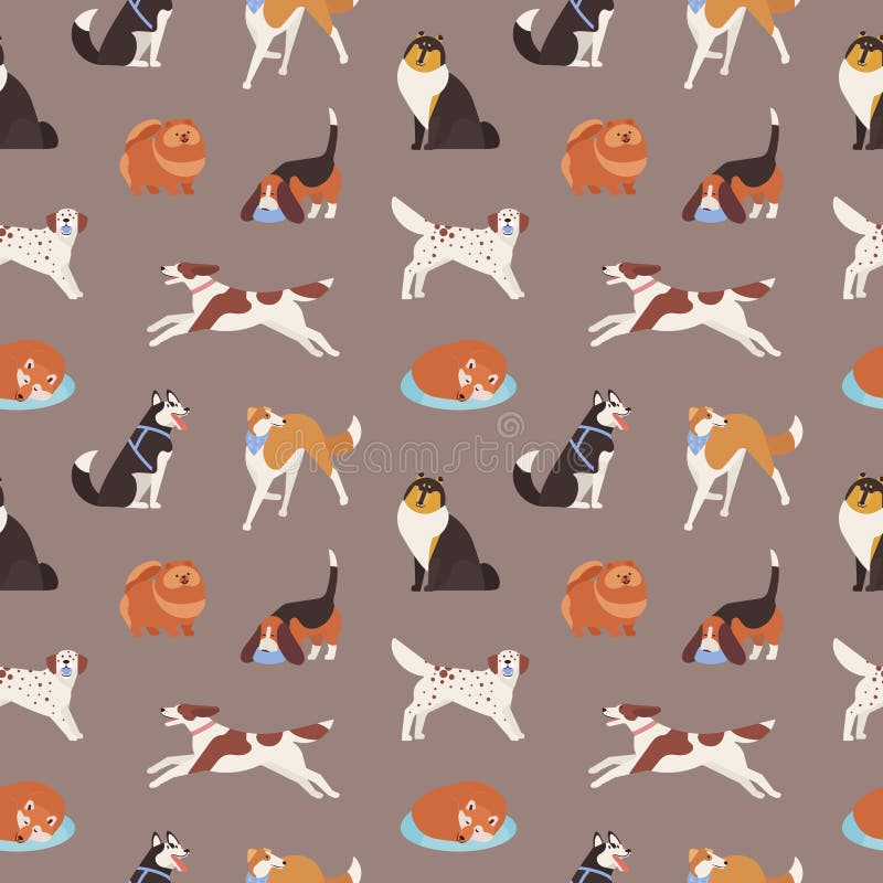 Seamless pattern with cute dogs of various breeds playing, running, walking, sitting, sleeping. Backdrop with adorable