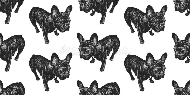 French Bulldog. Seamless pattern with cute puppies. Home pets isolated on white background. Sketch. Vector illustration art. Realistic portraits of animal. Vintage. Black and white hand drawing of dog. French Bulldog. Seamless pattern with cute puppies. Home pets isolated on white background. Sketch. Vector illustration art. Realistic portraits of animal. Vintage. Black and white hand drawing of dog