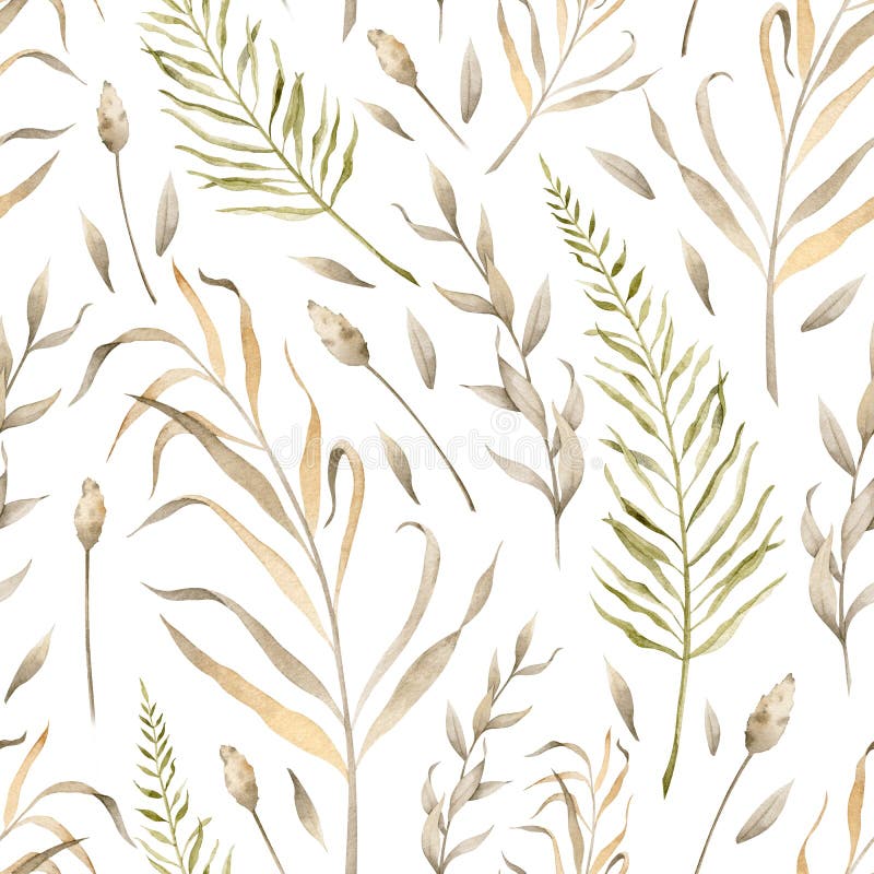 Dried Plants Isolated Stock Illustration - Download Image Now