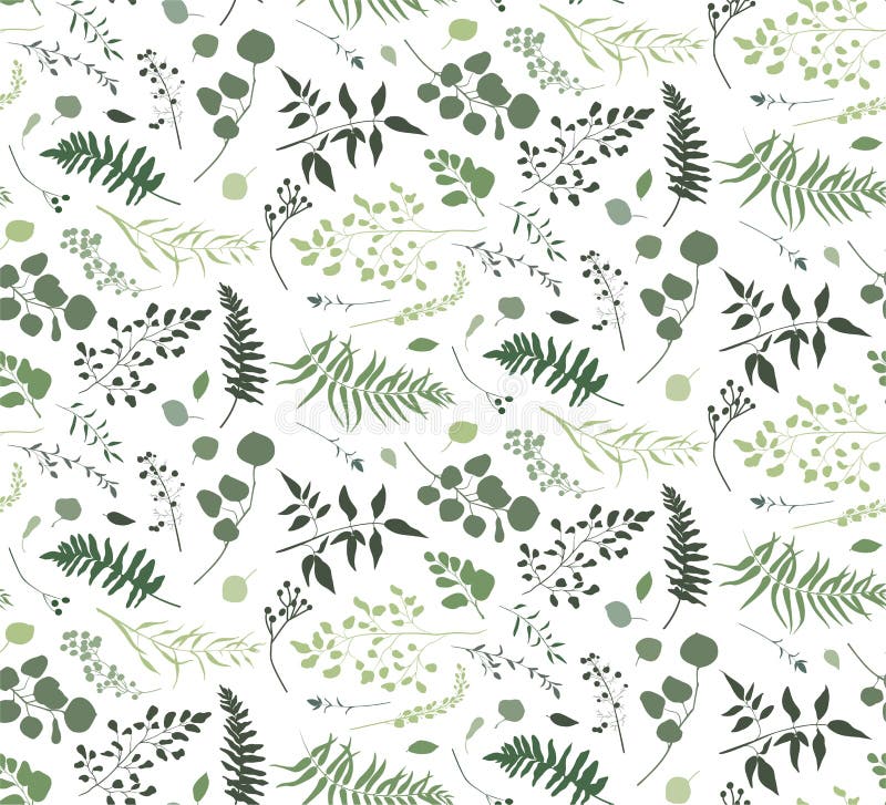 Seamless pattern of Eucalyptus palm fern different tree, foliage royalty free illustration