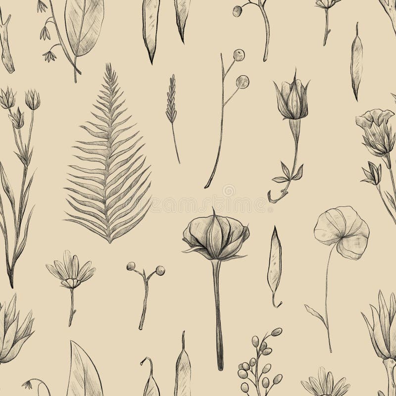 Seamless pattern with flowers and plants, summer herbarium, pencil illustrations