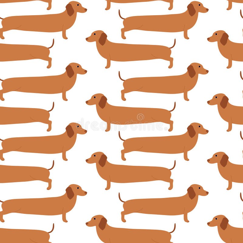 Dachshund Dog Set, Cute Funny Long Dog in Different Situations Vector ...