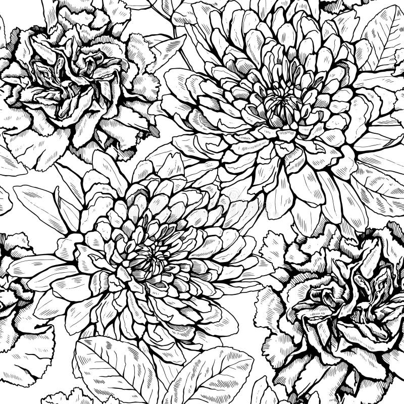 Carnations Black White Stock Illustrations 347 Carnations Black White