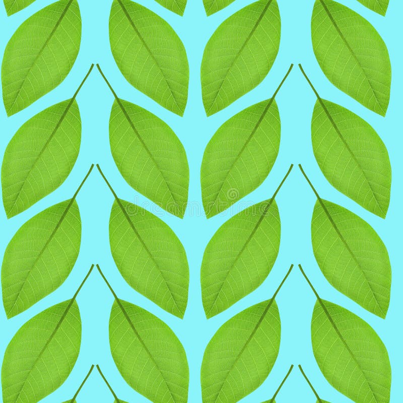 Seamless Pattern of Green Leaves on a Blue Background Stock Image