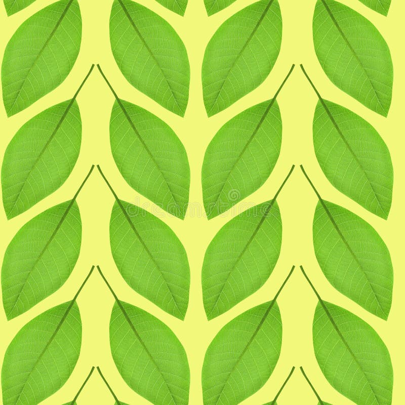 Seamless Pattern of Green Leaves on a Yellow Background Stock Photo