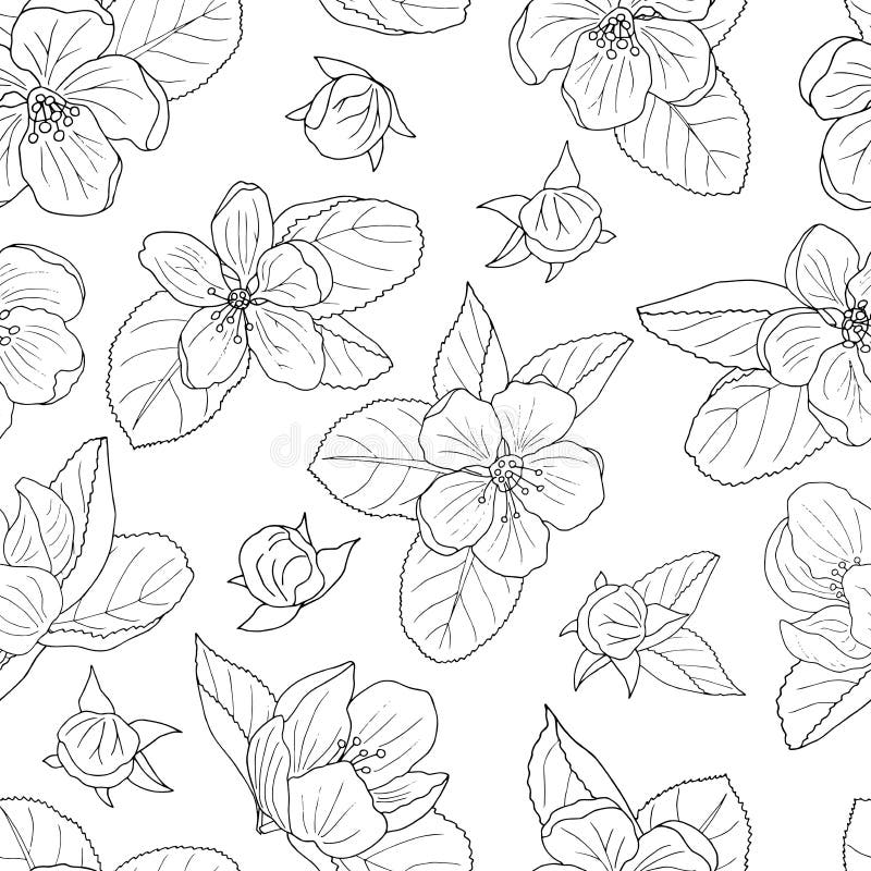 Download Apple tree coloring page stock illustration. Illustration ...