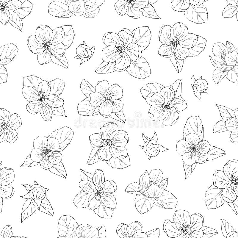 Seamless Pattern Of Hand Drawn Apple Blossom Coloring Page Stock Illustration Illustration Of Drawn Calm 147043197