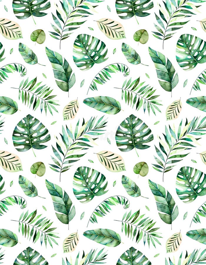 Tropical Leaf Wallpaper Sage Green Arthouse 925100