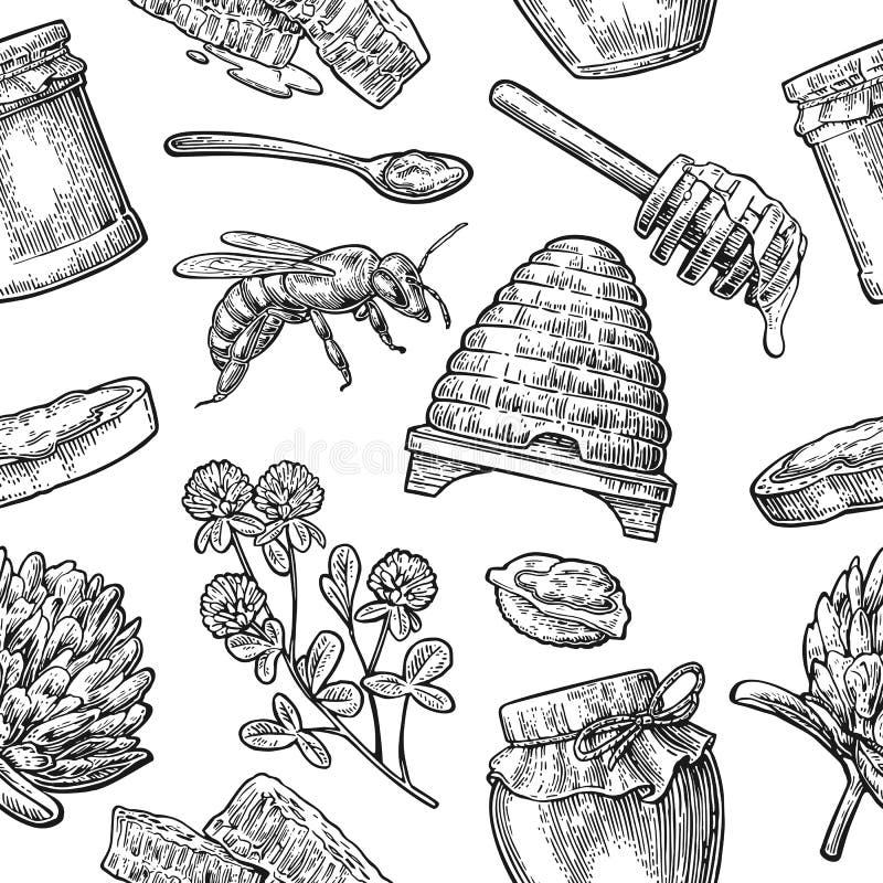 Seamless Pattern with honey, bee, hive, clover, spoon, cracker, honeycomb. royalty free illustration