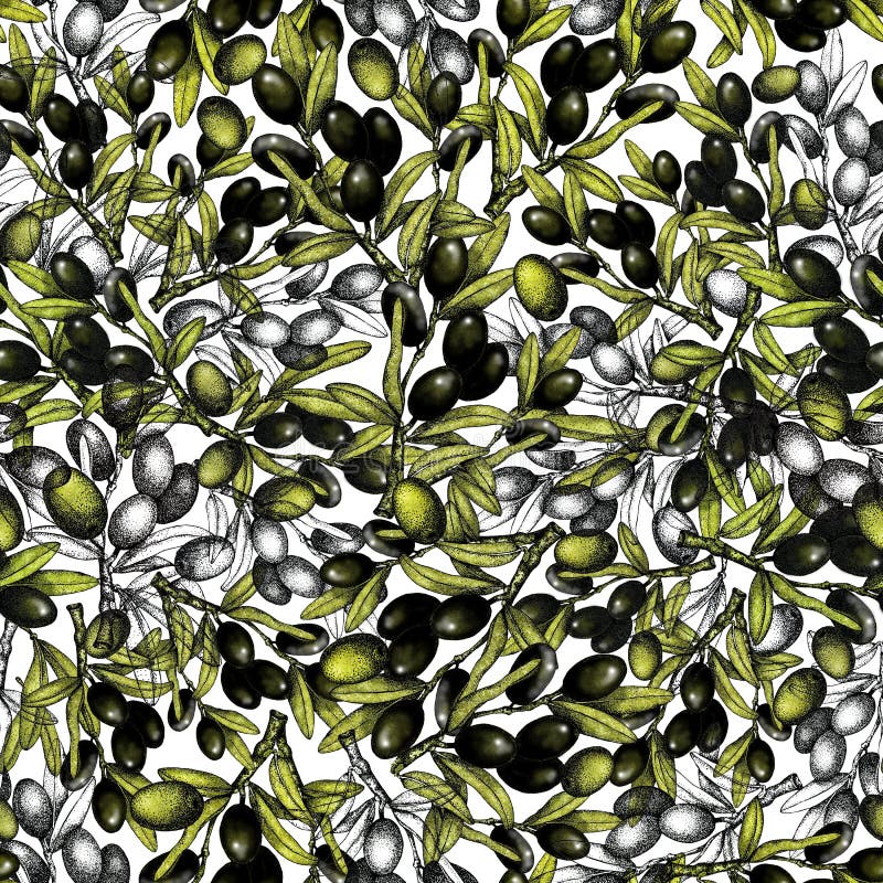 Seamless pattern with an illustration of black and green olives on a white background with sprigs and leaves. Design for olive oil