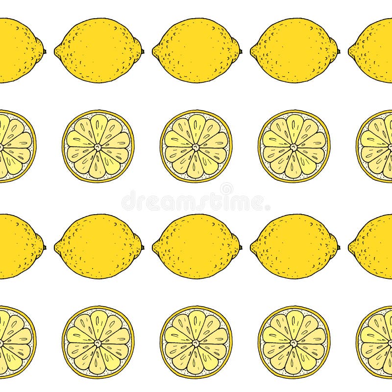 Lemons White Line Drawn on a White Background. Vector Drawing of Fruits