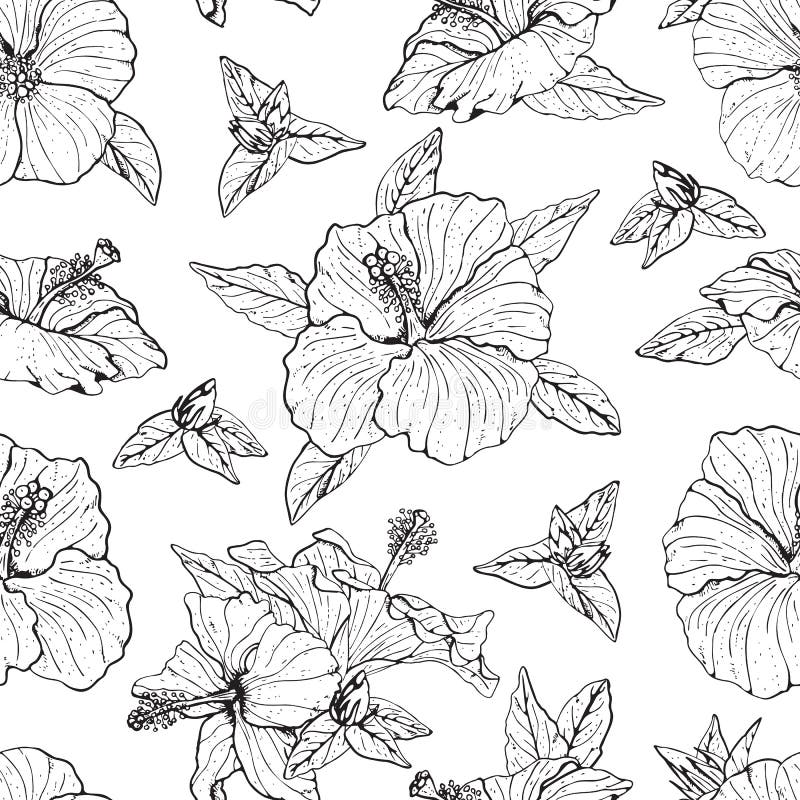 Seamless Pattern with Line Art Monochrome Hibiscus Flowers, Buds and ...